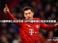 -沃尔夫斯堡主教练批评球队防守能力不足的简单介绍