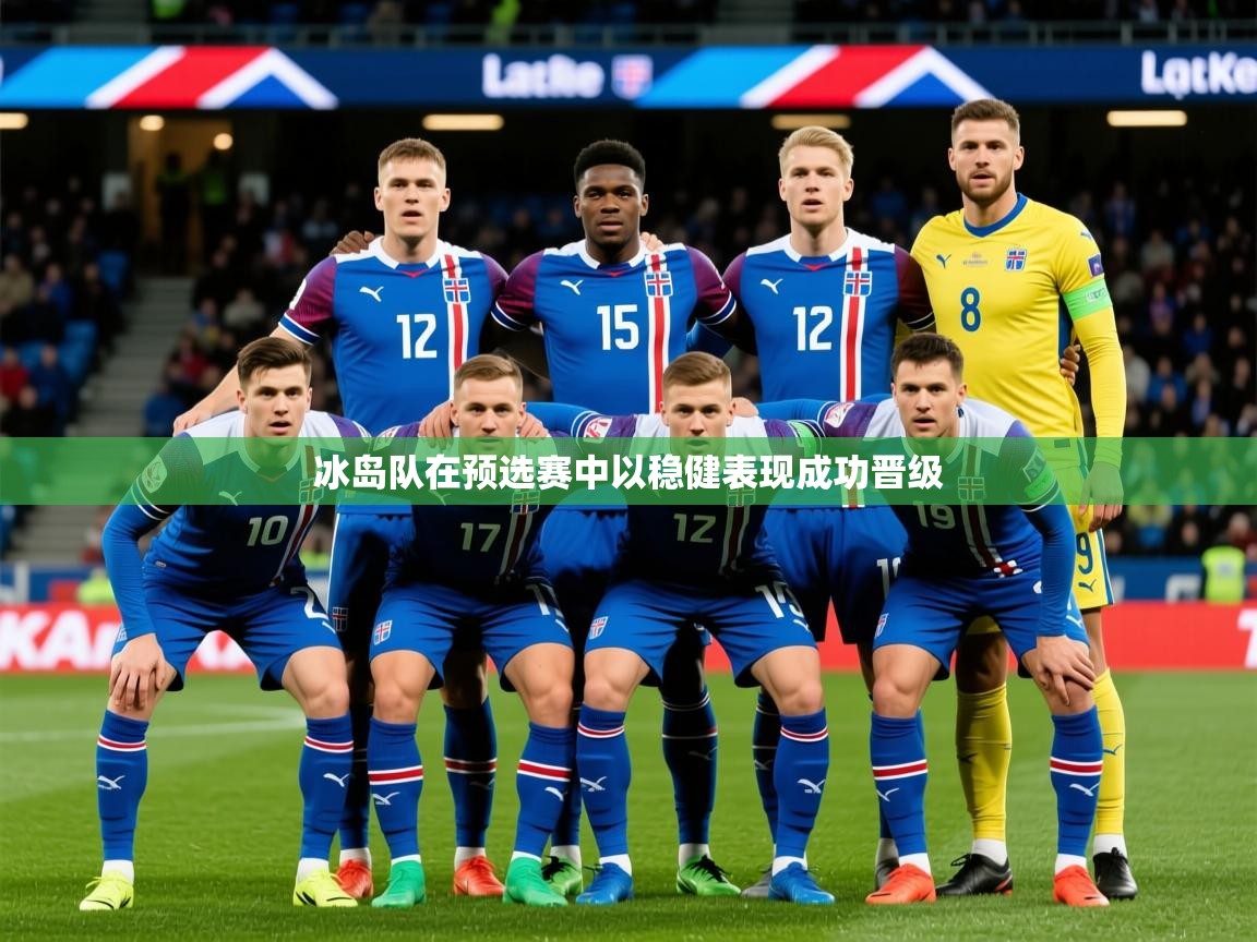 2025云开体育app网页版入口冰岛队在预选赛中以稳健表现成功晋级  第1张