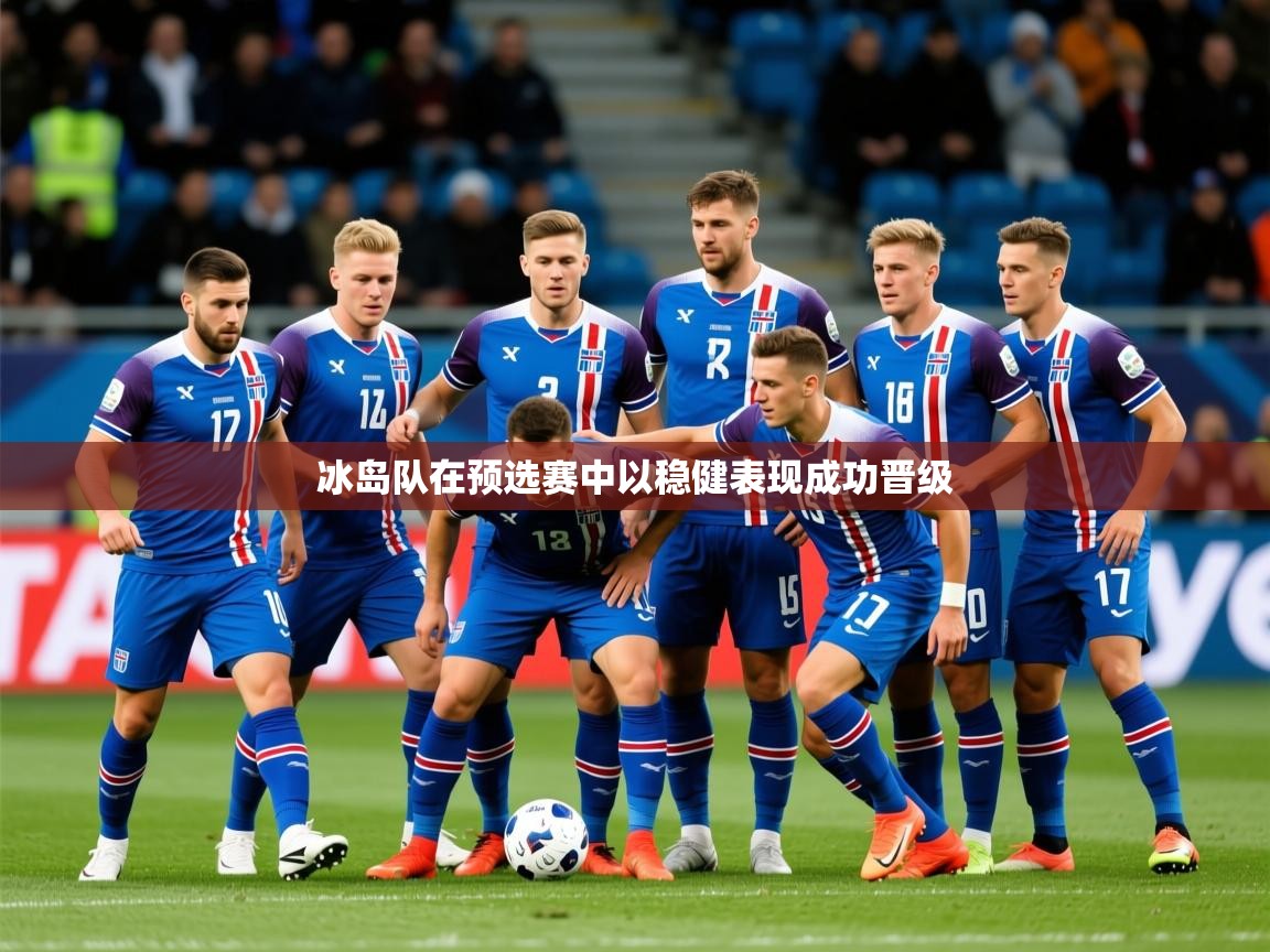 2025云开体育app网页版入口冰岛队在预选赛中以稳健表现成功晋级  第2张