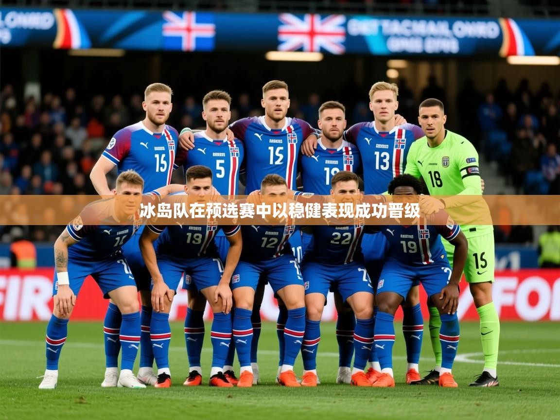 2025云开体育app网页版入口冰岛队在预选赛中以稳健表现成功晋级  第3张